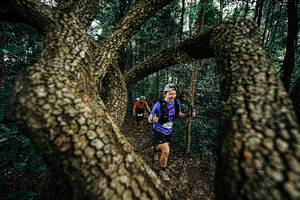 BIB: 
                            <button type="button" onclick="openModal(25393671)" class="btn btn-primary btn-sm float-right btn-popup" data-toggle="modal" data-target=".modal-high-quality">
                        <i class="fas fa-shopping-cart"></i> Add to Cart
                    </button>
                                            <button type="button" onclick="isThisMe(25393671, true)" class="btn btn-success btn-sm float-right btn-popup btn-isme hidden" data-toggle="tooltip" data-placement="bottom" title="นี่คือรูปของคุณใช่ไหม คลิกที่นี่เพื่อเอาเข้าอัลบั้ม">
                        <i class="fas fa-plus"></i> Add to album
                    </button>
                    <button type="button" onclick="isThisMe(25393671, false)" class="btn btn-warning btn-sm float-right btn-popup btn-isnotme hidden">
                        <i class="fas fa-ban"></i> Remove from album
                    </button>